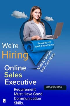 Job For Online Sales