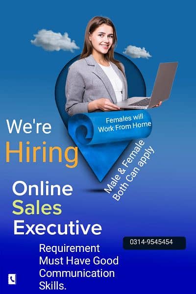 Job For Online Sales 0