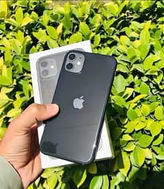 iphone11 64gb 78% non pta sim time full box water pack 10/09 condition