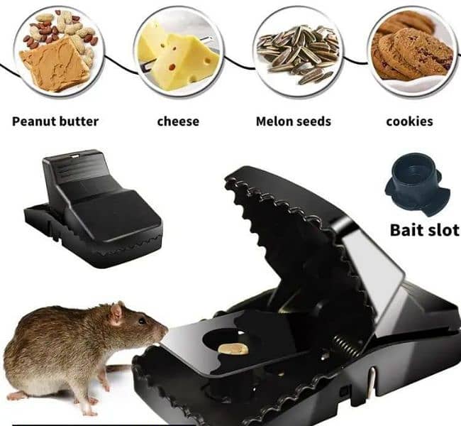 Plastic Mouse Trap Cash on Delivery all across Pakistan 1