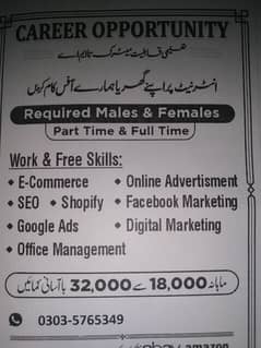 Male and female office work