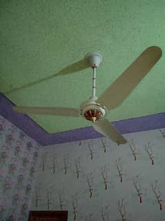 ceiling fan for sell 0