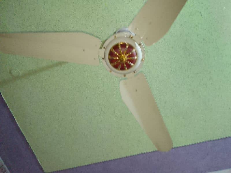 ceiling fan for sell 1