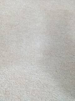 12 by 12 ft plain beige color carpet. excellent condition