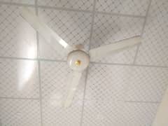 sufi ceiling fan for sale. call:03138720985