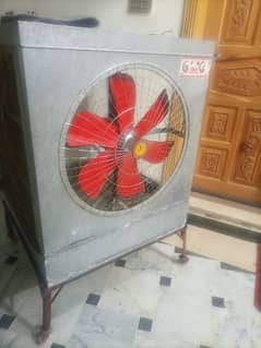 Lahorei cooler