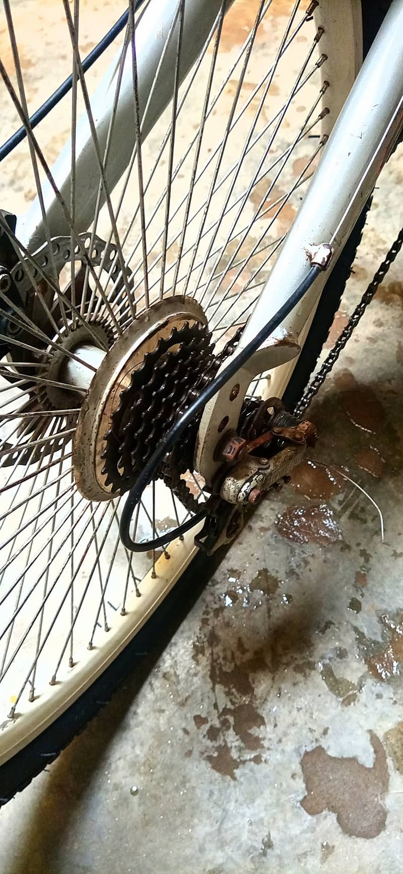 Mountain Gears Disc Brake Bicycle 5