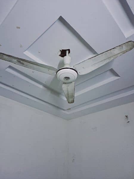 ceiling fan (2) 1