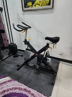 Le Mond Imported Exercise Bike