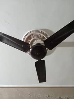 ceiling fan