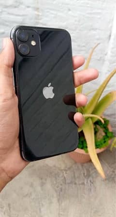 IPhone 11 64 GB Non Pta (JV) Waterpack