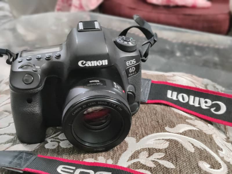 canon 6D mark II body with 70-200 mm lens and 14mm ultra wide lens 5