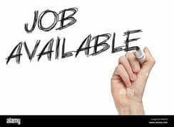 accountant and purchaser job available