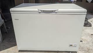 HAIER DEEP FREEZER