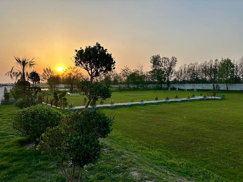 Agriculture land 65 lac per kanal Reedy for possession Bedian Road Lahore 8