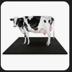 cows floor mats