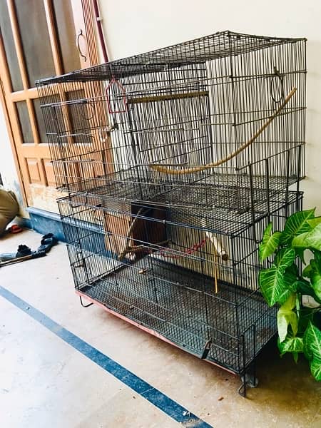 Folding Cage Urgent for Sale 1