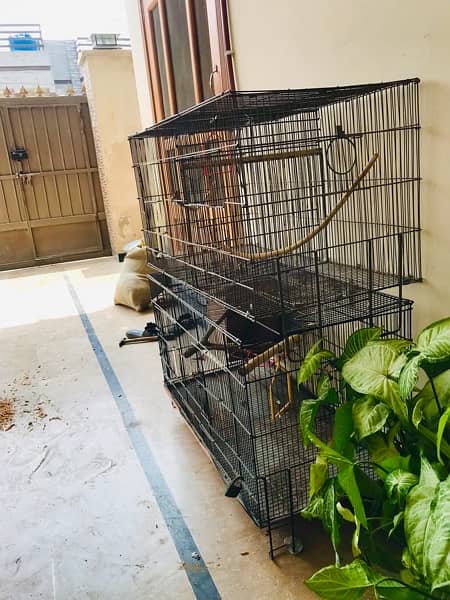 Folding Cage Urgent for Sale 4