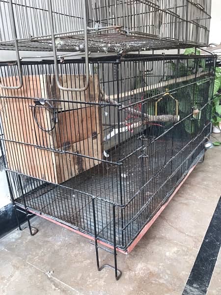 Folding Cage Urgent for Sale 5