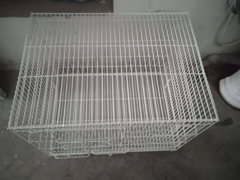 Bird Cage 3