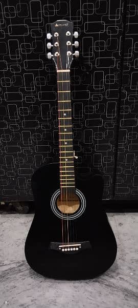 Affordable guitar with accessories 1