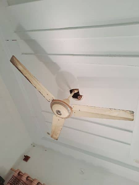 ceiling fan (2) 3