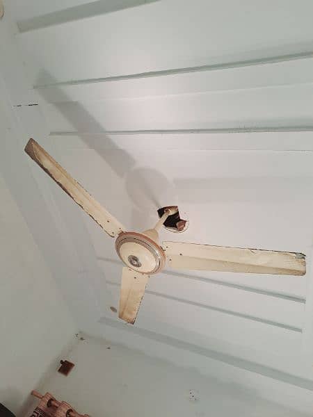 ceiling fan (2) 5