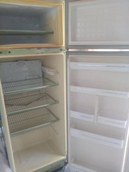 dowlance fridge 2