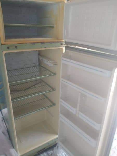 dowlance fridge 5