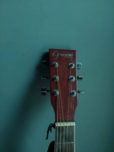 semi acoustic guitar 6