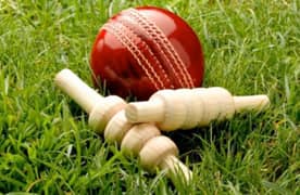 cricket hard ball 0