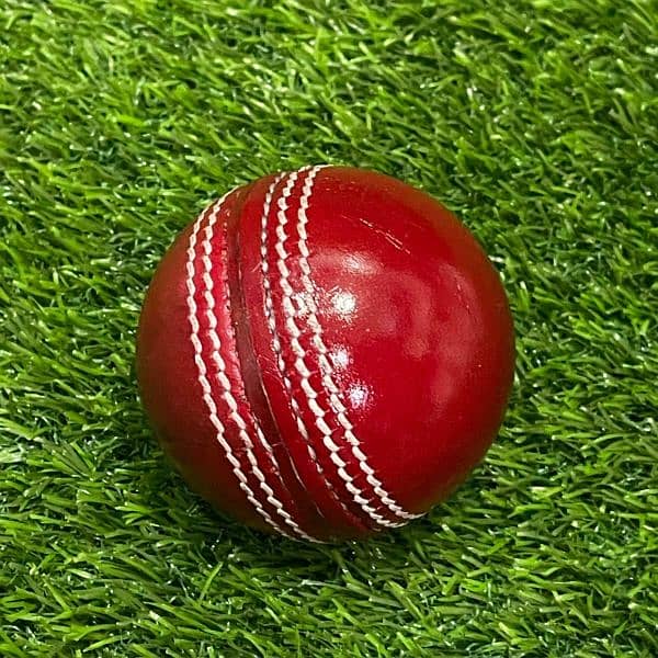 cricket hard ball 1