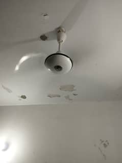 Pak ceiling fan 75 watts 0