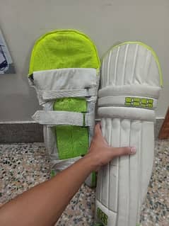 cricket pads kit .