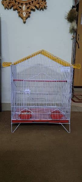 New Cage for sale 4