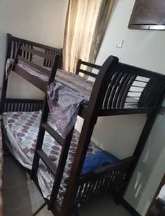 baurnk bed for sale