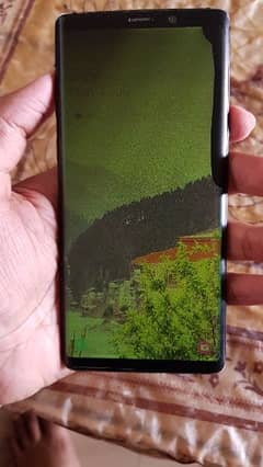 samsung note9 Green screen Doted