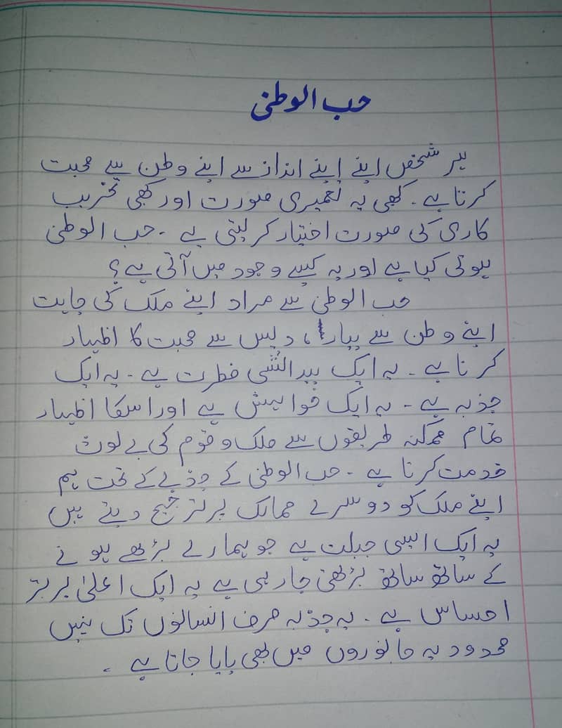 Professional urdu and English assignment work in low cost. 8