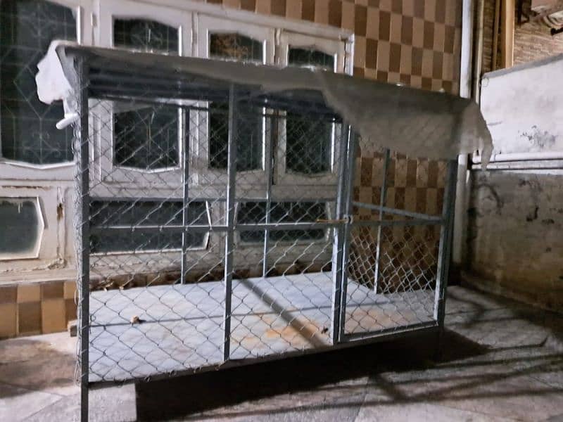 dog cage 1
