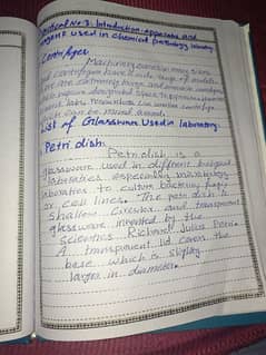 Hand writing assignments jobs 0