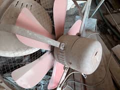 copper wind motor with fan