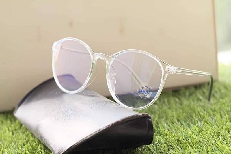 Transparent Sunglasses 1