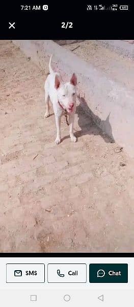 Nokri Chya Umr 19 saal