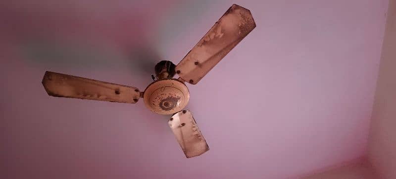 2 celling fans old is gold for sale 1