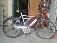 sohrab strond bicycle condition 10by8