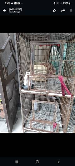 Cage in Good Condition
