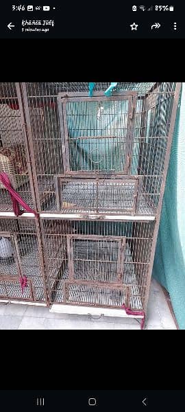 Cage in Good Condition 1