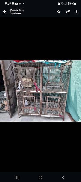 Cage in Good Condition 2