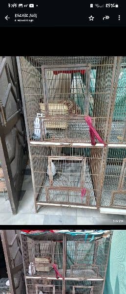 Cage in Good Condition 3