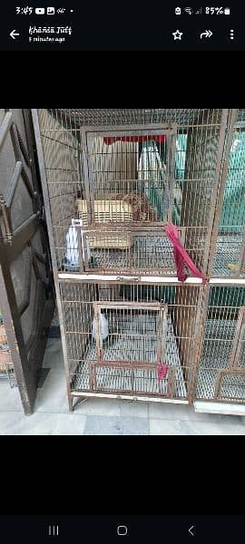 Cage in Good Condition 4